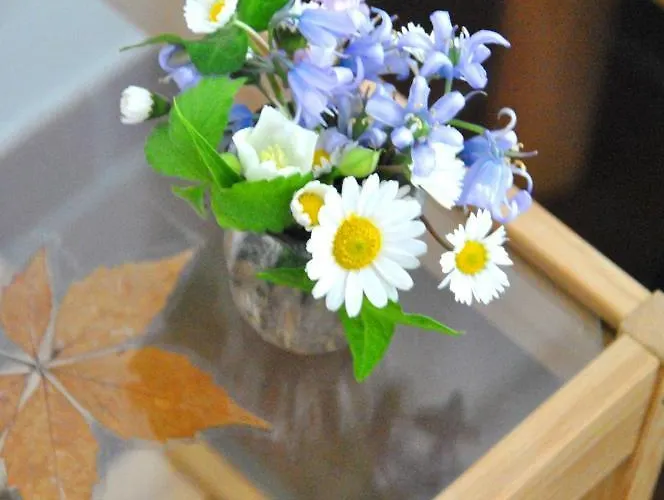 Casa Al Miglio Сasa de vacaciones *